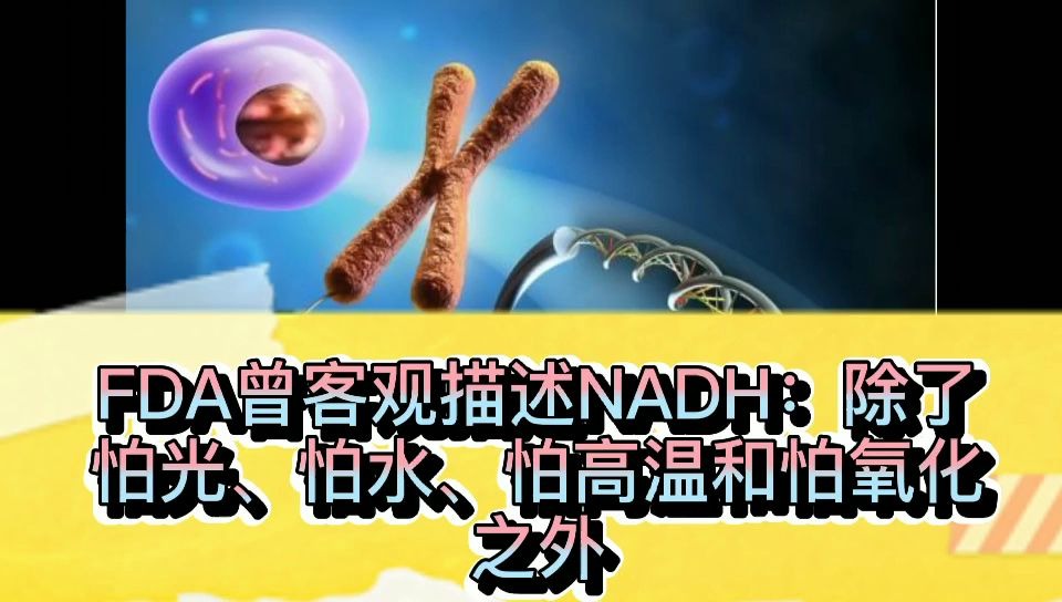 热门话题:nadh与nmn哪个效果好?哔哩哔哩bilibili