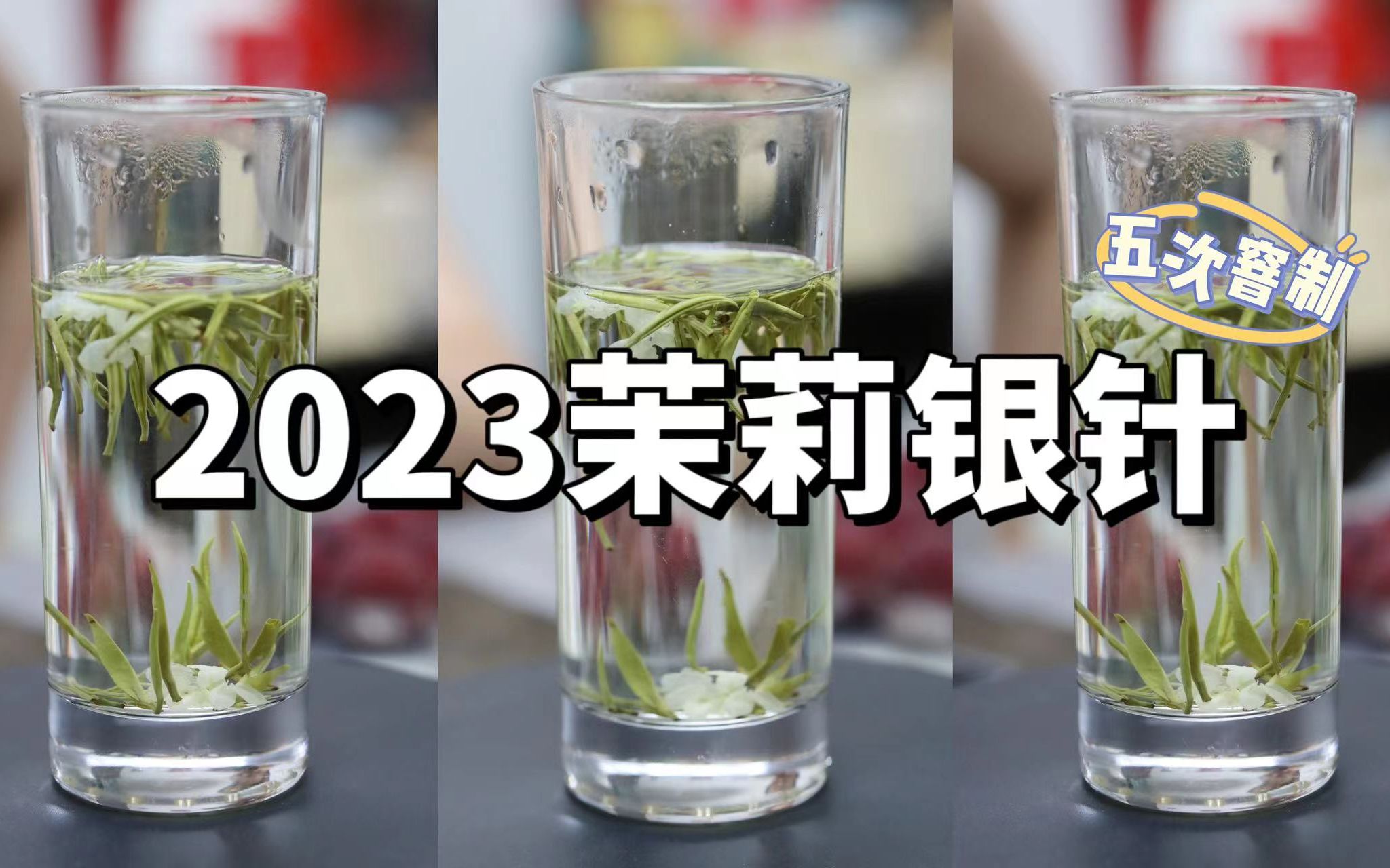 2023年茉莉银针,新茶加新花才能有花茶的灵魂,鲜灵度拉满,唇齿留香,回甘无苦涩!哔哩哔哩bilibili