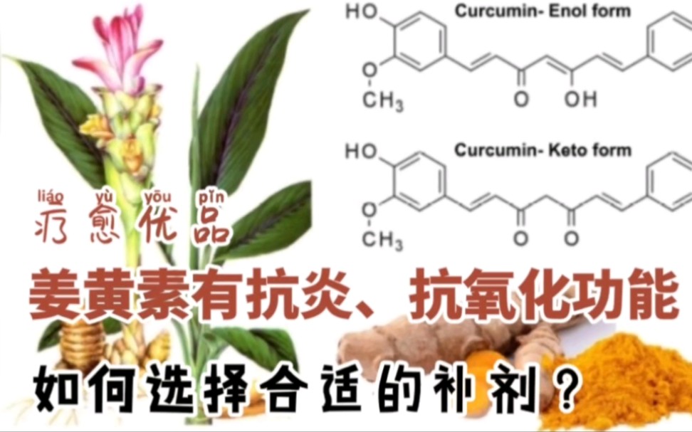 作为强大抗炎剂的姜黄素,日常如何使用?哔哩哔哩bilibili