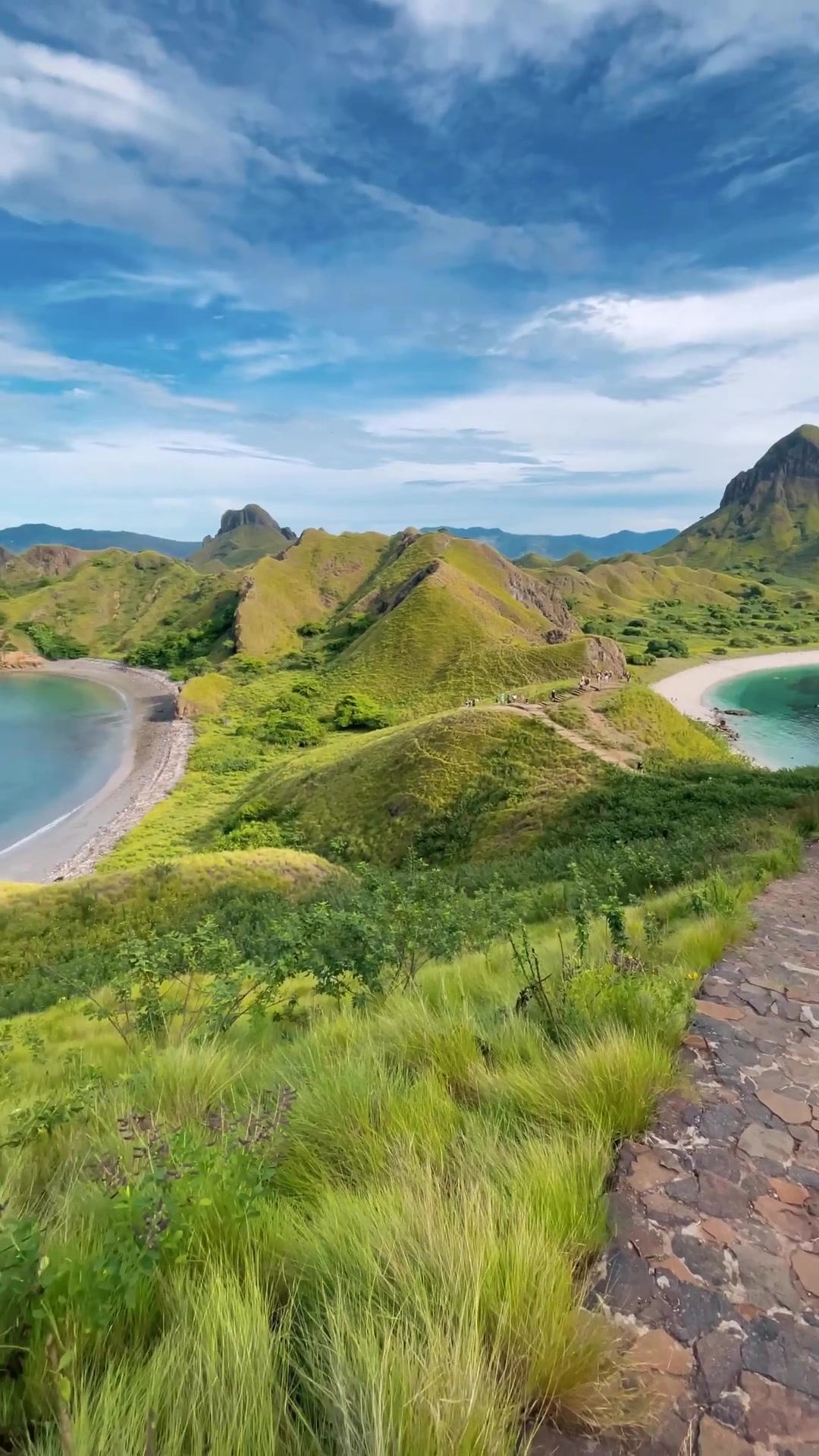 我的印度尼西亚labuan bajo pulau padar岛科莫多巨蜥