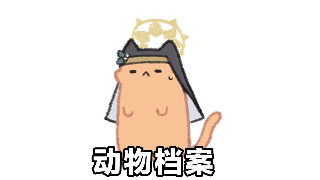 动物档案 1~10哔哩哔哩bilibili