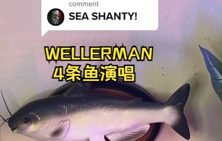 [图]The Wellerman 4条鱼演唱