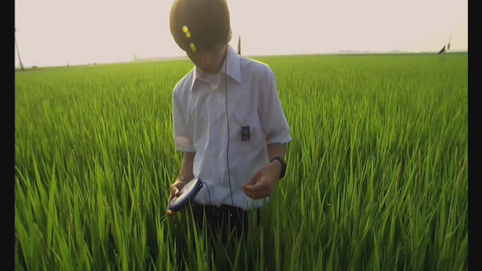  岩井俊二的镜头语言>