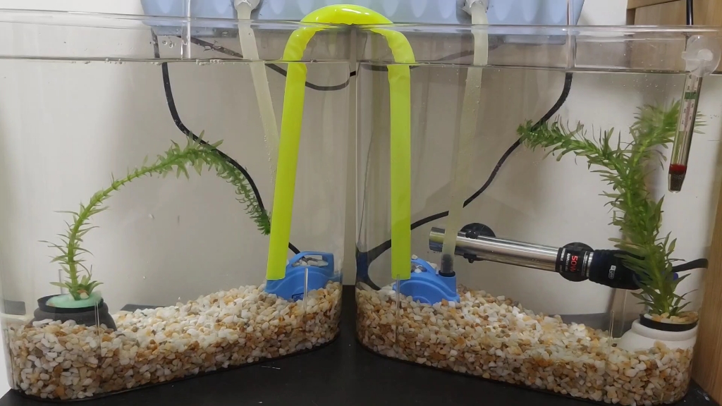 diy串联鱼缸共用一套过滤