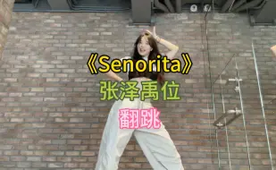 Download Video: 【张泽禹位】《Senorita》翻跳