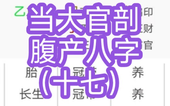 当大官剖腹产八字(十七)哔哩哔哩bilibili