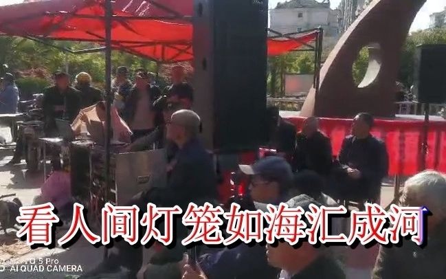 [图]淮剧《祥林嫂》选段《问天》演唱：顾翠芬20210501录像：赵春高