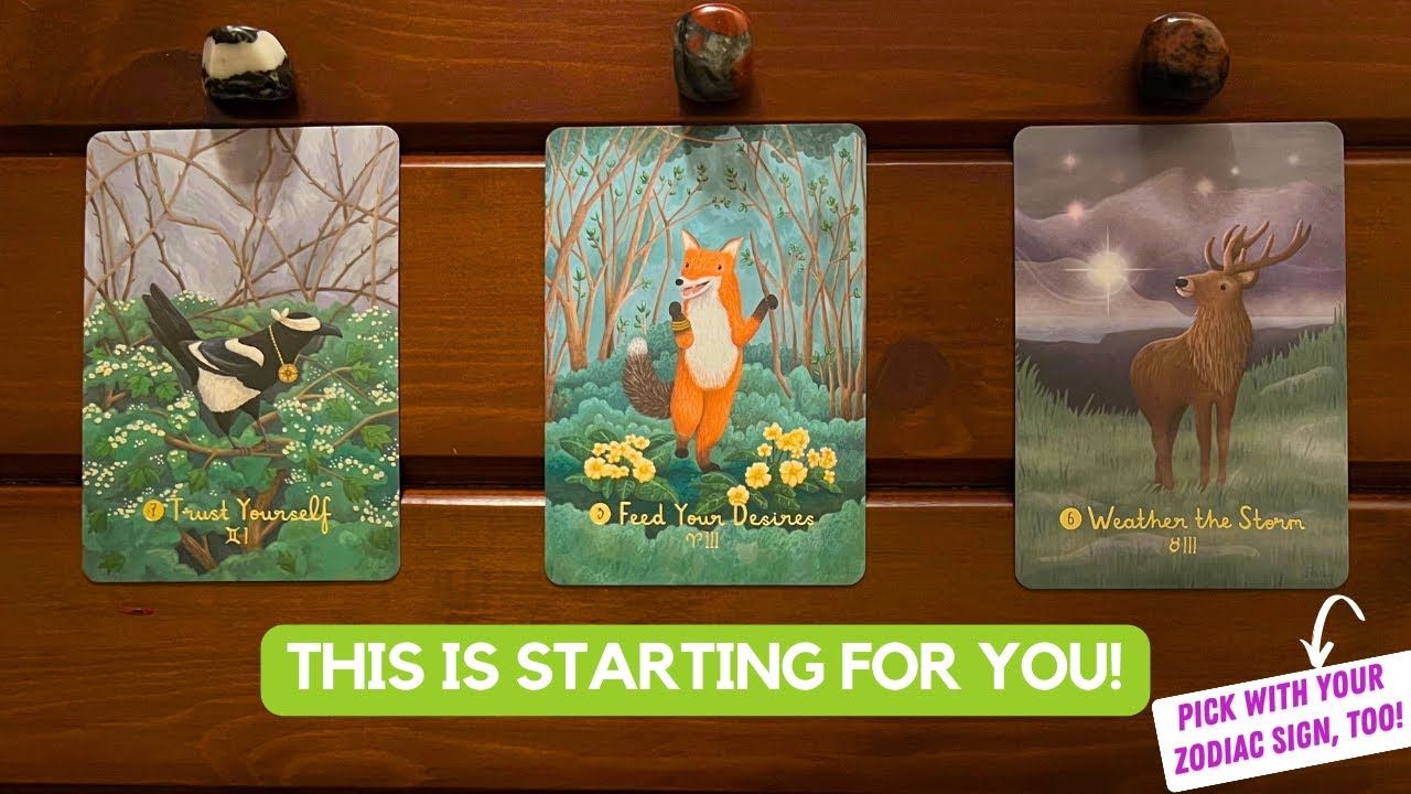 9903【中英字幕】pick a card 塔罗运势指引