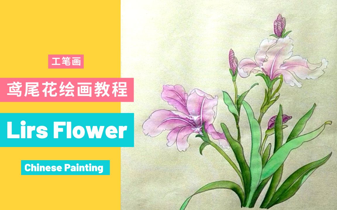 工笔画:鸢尾花绘画教程哔哩哔哩bilibili