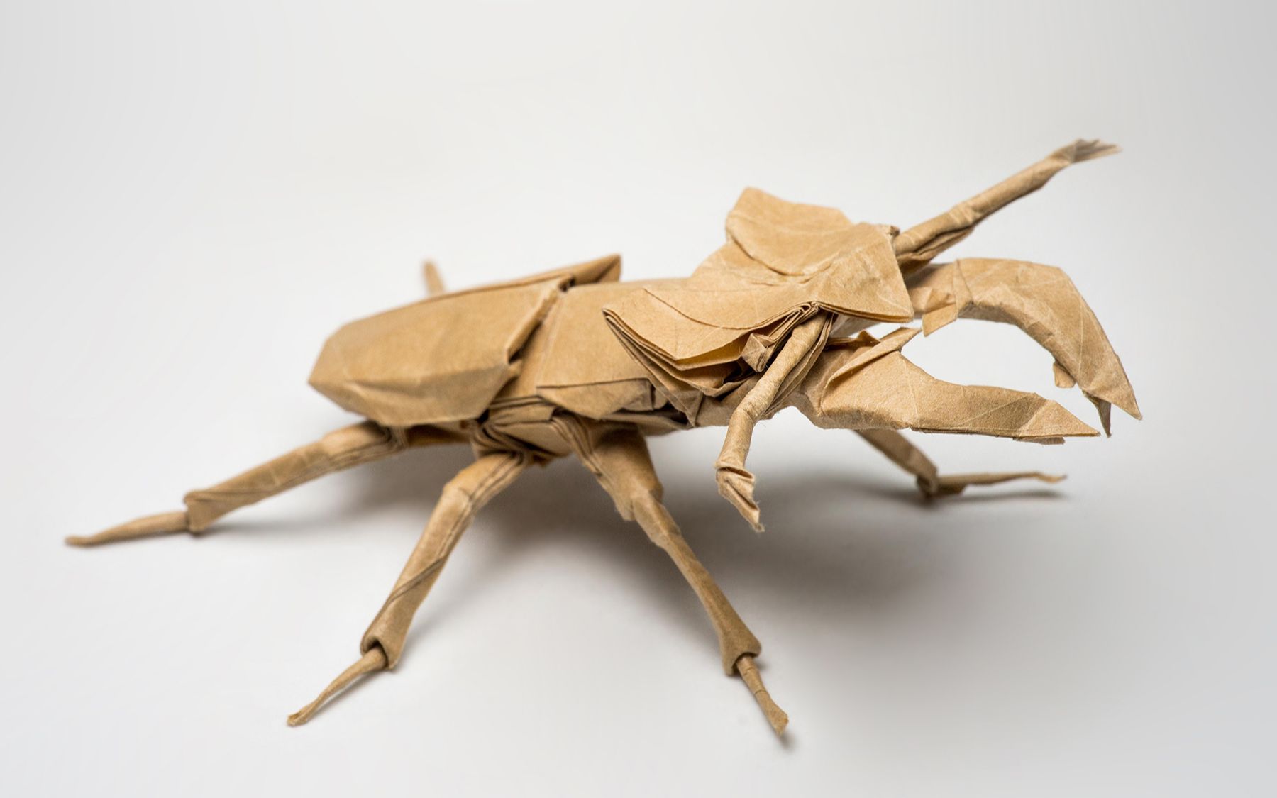 折纸罗伯特朗昆虫图片