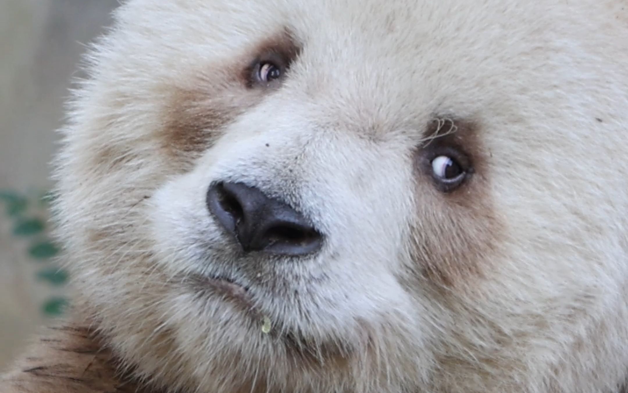 七仔:我的眼神,你的最爱