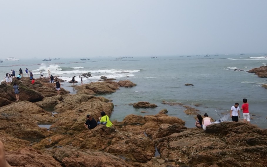 【郑州暴雨】没空去看海,海自己来了!哔哩哔哩bilibili