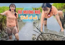 Tải video: 稻田旁抓鱼-越南