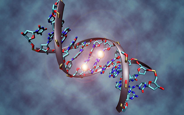 [图]【MIT麻省理工精品课程】分子生物学系列第一部分：DNA复制与修复【全中英字幕】