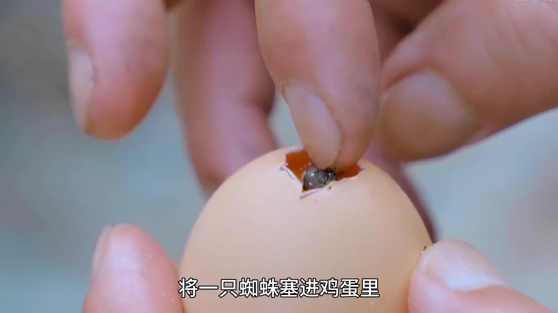 非遗美食:蜘蛛夹心蛋你吃过吗?