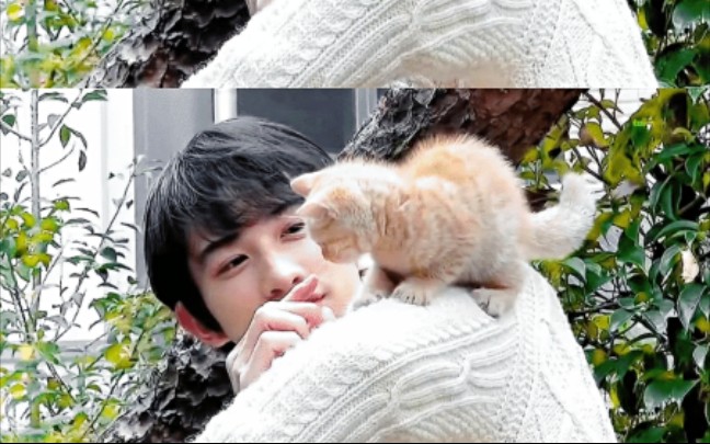 【町田启太】超温柔帅哥与小猫咪 拍摄花絮