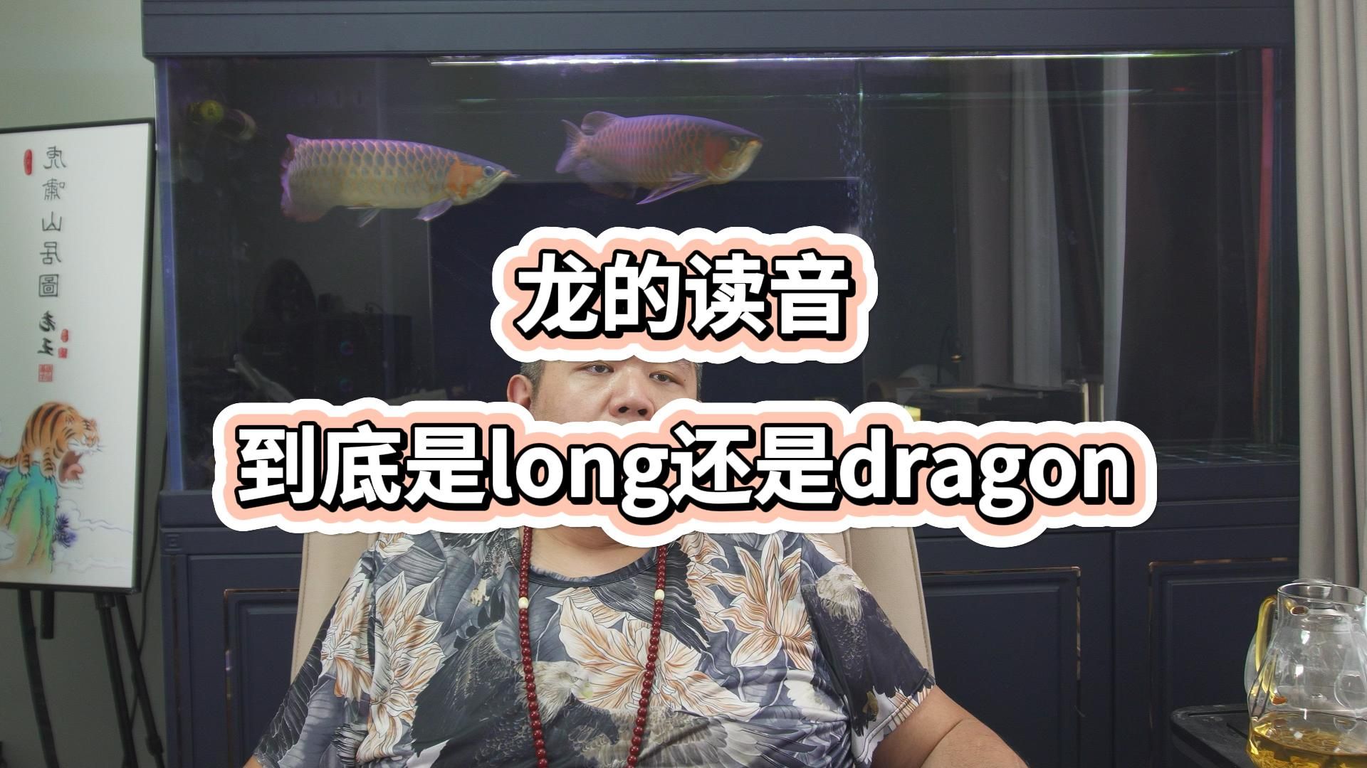 龙的读音到底是long还是dragon,当中国建立自己标准之后,西方会加速与中国合作哔哩哔哩bilibili