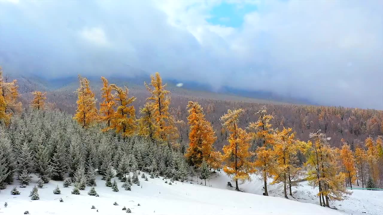 [图]388_愿和你雪中漫步永无止境的辗转流年不为浪漫;只求一路可白头1