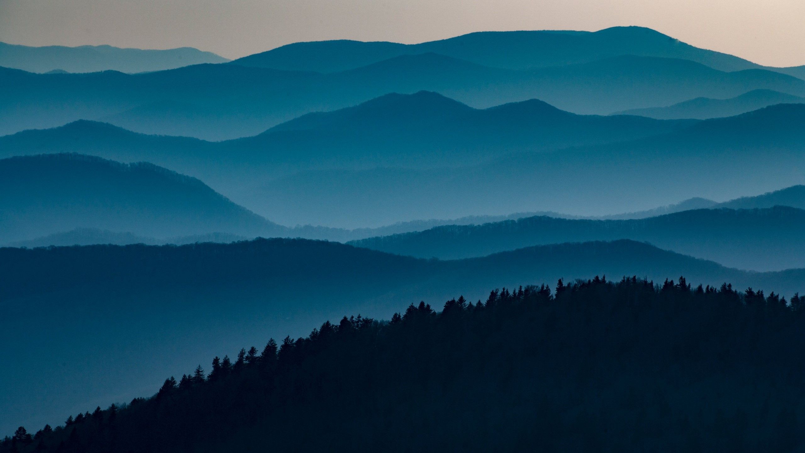 田纳西州,从大雾山国家公园的克灵曼斯峰眺望到的景观(08 tony