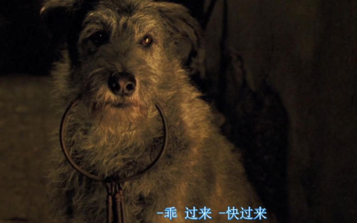 超清加勒比海盗钥匙狗一群傻子