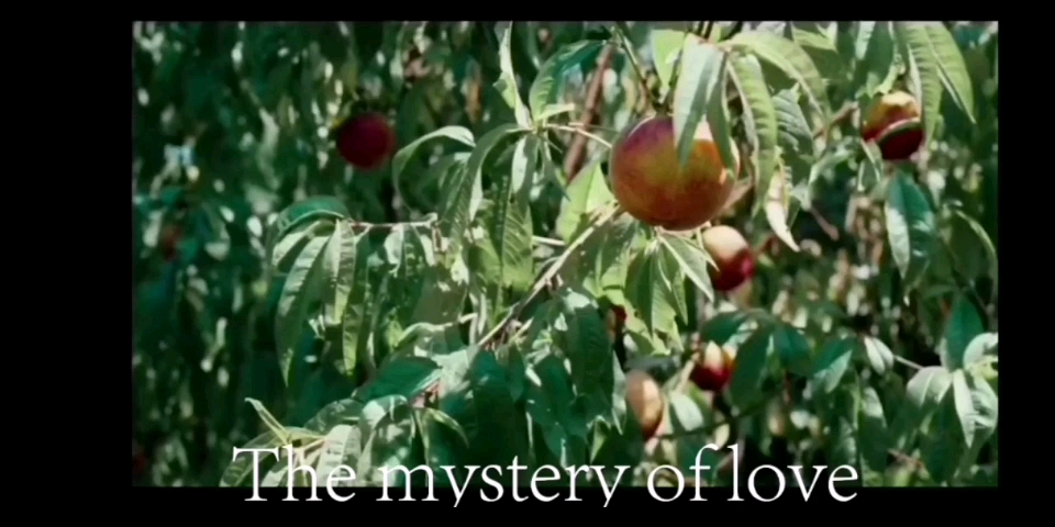 [图]电影剪辑 the mystery of love