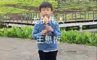 龙的传人 王思哲葫芦丝哔哩哔哩bilibili