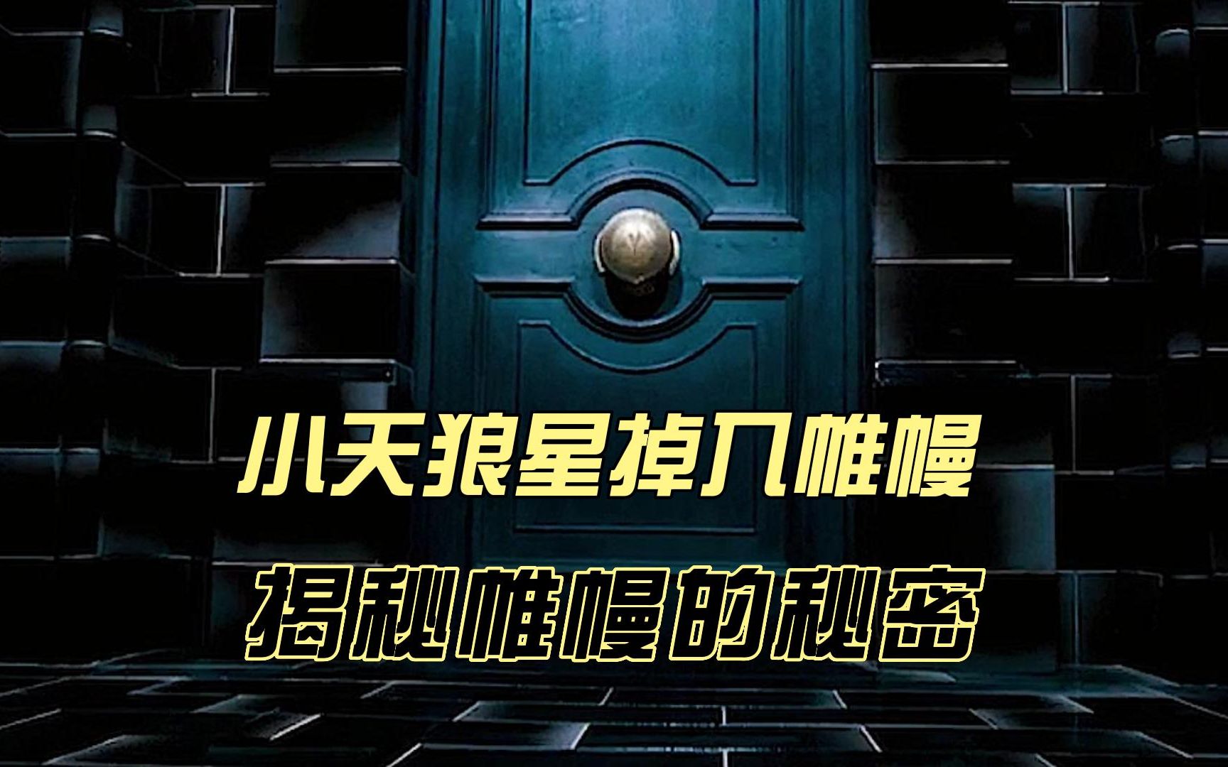 魔法世界中,让人谈虎色变的“帷幔”,到底是什么东西?哔哩哔哩bilibili