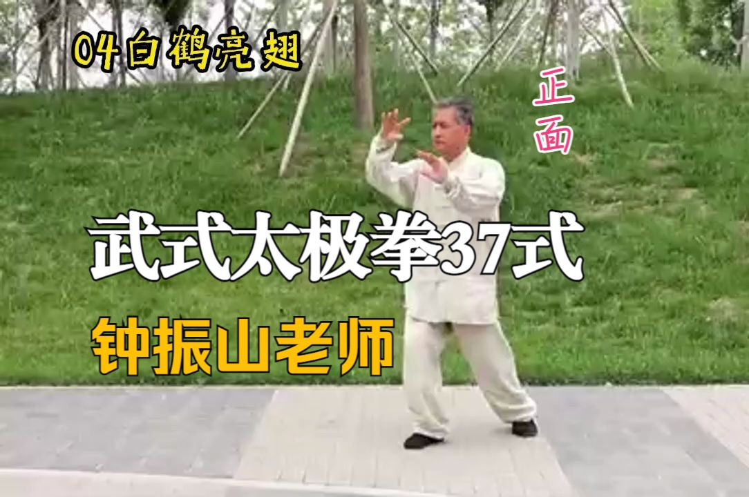 钟振山老师-武式太极拳37式演示(正面-字幕 bgm)[▲rz]