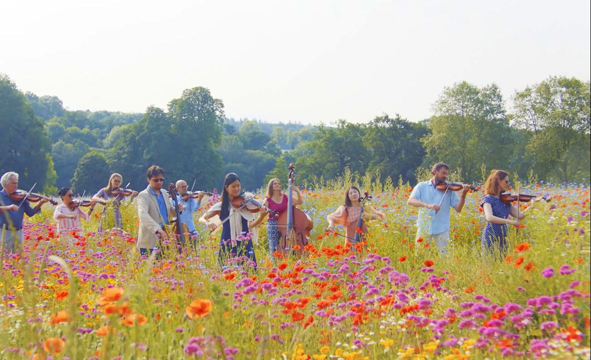 【古典MV】柴可夫斯基《花之圆舞曲》选自《胡桃夹子》|Tchaikovsky: Flower Waltz from Nutcracker哔哩哔哩bilibili