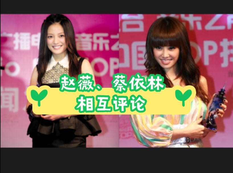 蔡依林,赵薇相互评价.