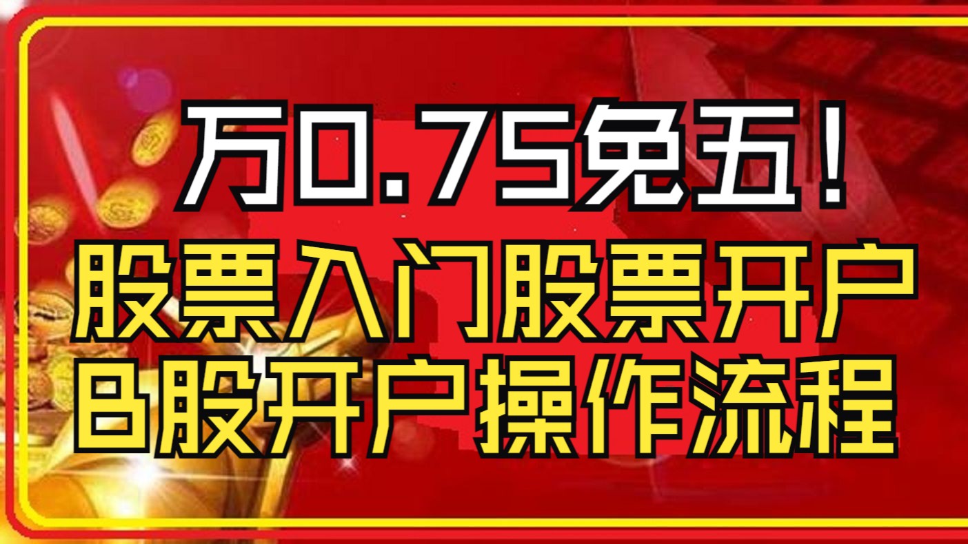 股票入门股票开户B股开户操作流程,华泰证券万一免五开户万一免五的证券公司开户,股票网上开户0.75免五西安开户万一免五哔哩哔哩bilibili