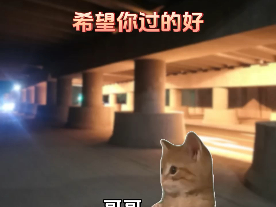 发布文案:我不是野孩子,我有哥哥,我有家#野孩子#猫meme小剧场哔哩哔哩bilibili