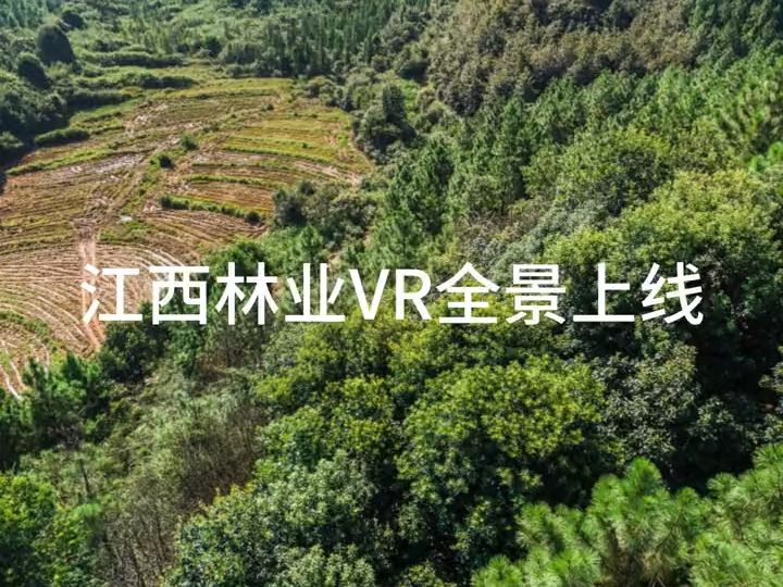 江西林业VR全景上线了哔哩哔哩bilibili