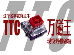 Descargar video: 抽！现役最强磁轴！TTC万磁王体验感受分享！