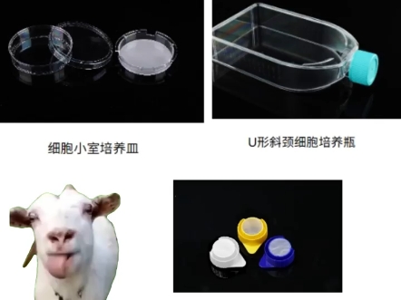 实验室就要配NEST这样的实验耗材!#冻存管 ##生物研究##生物实验耗材# #实验室# #细胞实验#哔哩哔哩bilibili