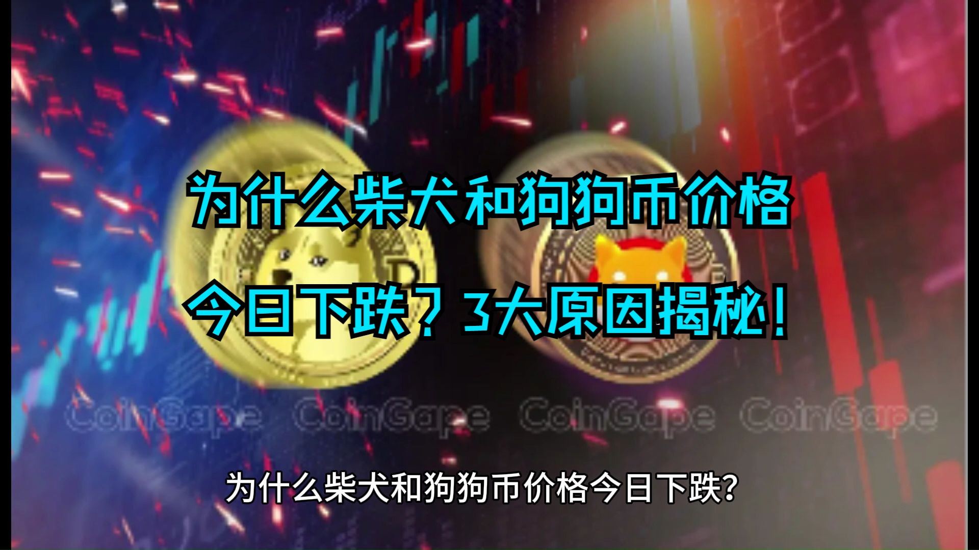 为什么柴犬和狗狗币价格今日下跌?3大原因揭秘!