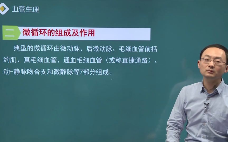 生理学 第四章 02讲 血管生理、心血管活动的调节、器官循环哔哩哔哩bilibili