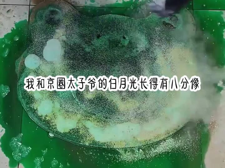 《如画亲柳》在知乎哔哩哔哩bilibili