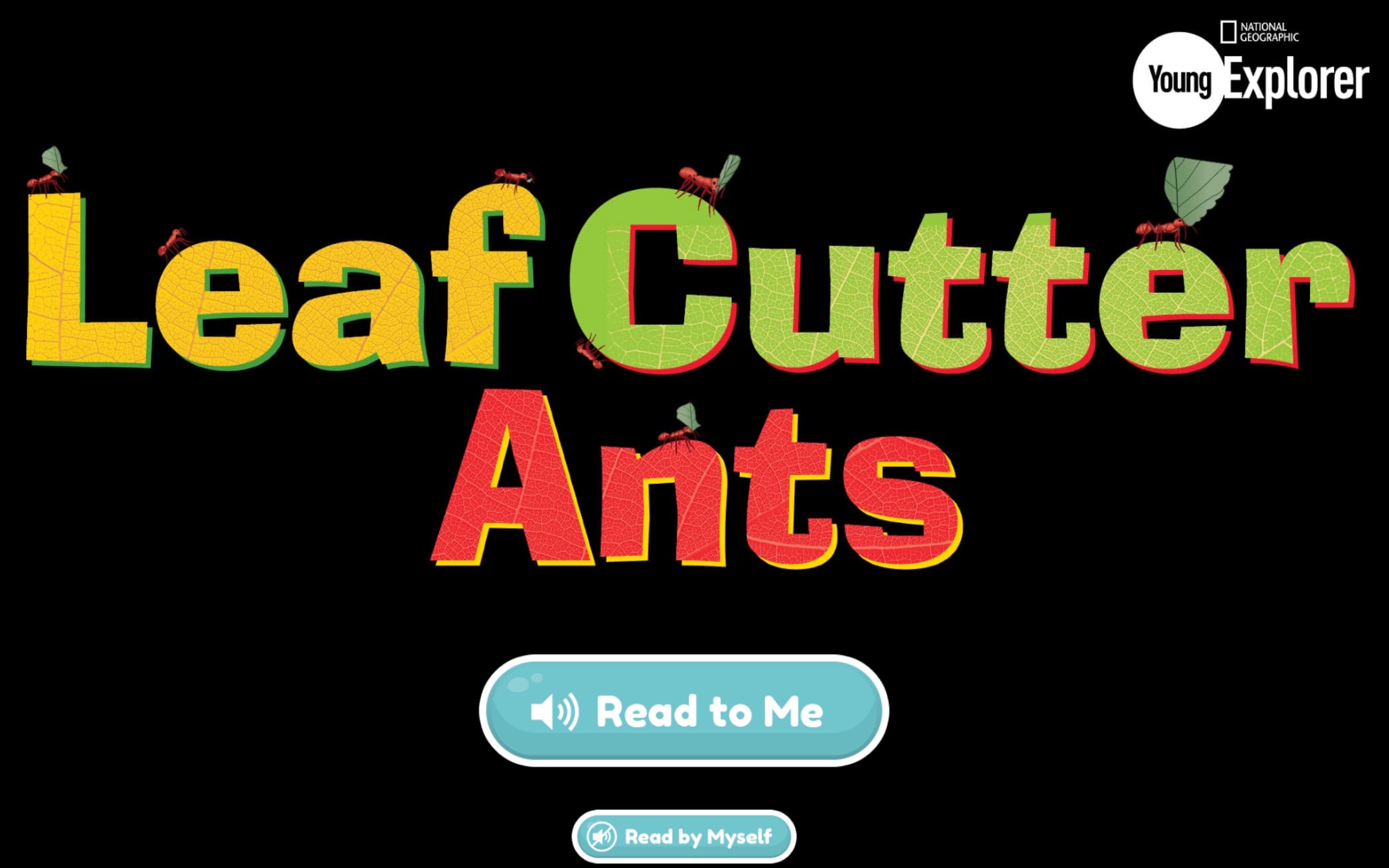 Leaf cutter ants|国家地理少儿英语读物哔哩哔哩bilibili