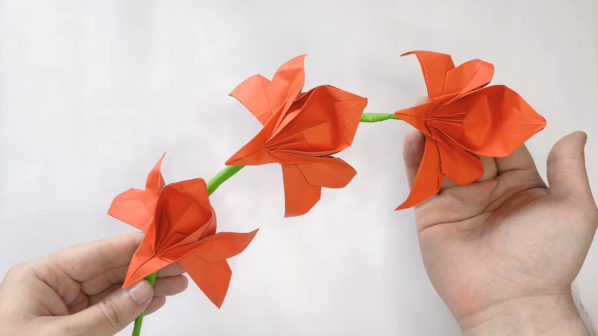 【origami library】兰花折纸教程origami red orchid