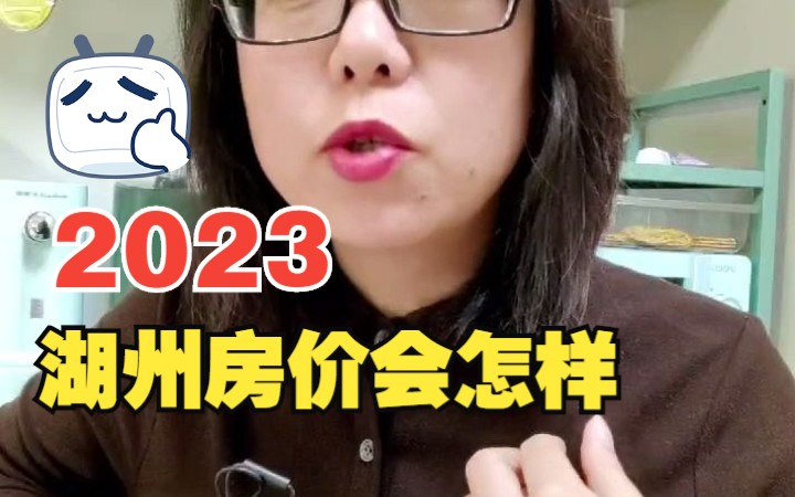 2023年,湖州房地产会怎么样?哔哩哔哩bilibili