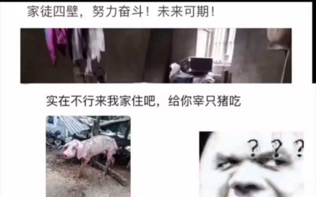 实在不行就不要...-经典梗系咯-经典梗系咯-哔哩哔哩视频