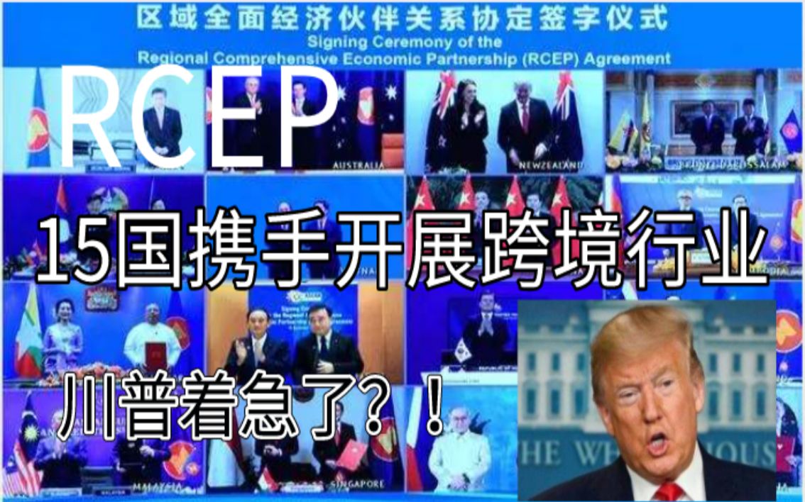 RCEP,马来西亚前五电商平台,哪一款适合你?哔哩哔哩bilibili