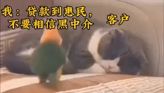 别信啊