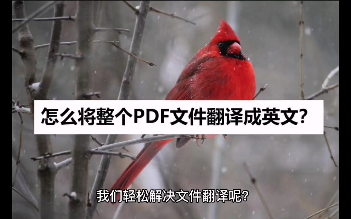 怎么将整个PDF文件翻译成英文?简单几步轻松解决哔哩哔哩bilibili