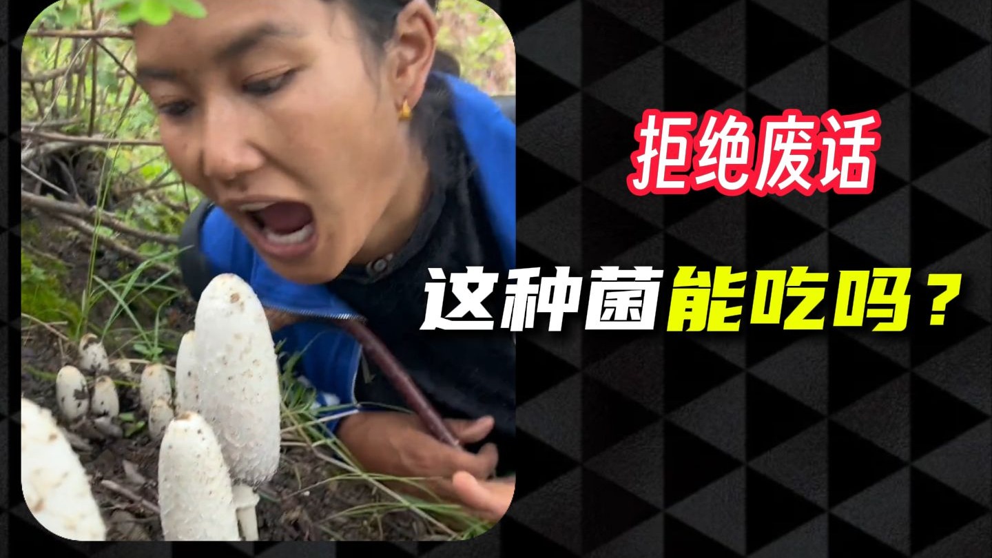 野生蘑菇可别直接往嘴里炫