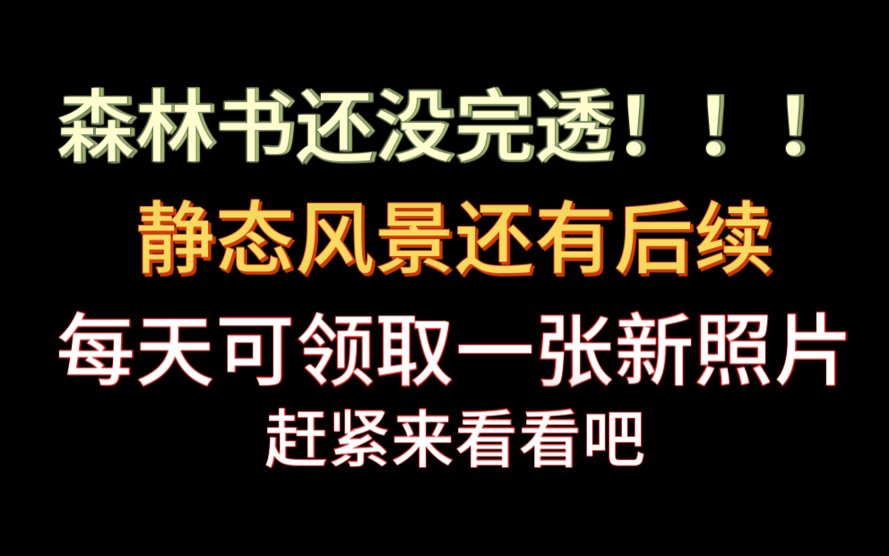 【原神须弥任务】3.0的森林书还没结束呢!!!到信箱那里每天还能领照片,静态风景ⷥŽ篇的后续手机游戏热门视频