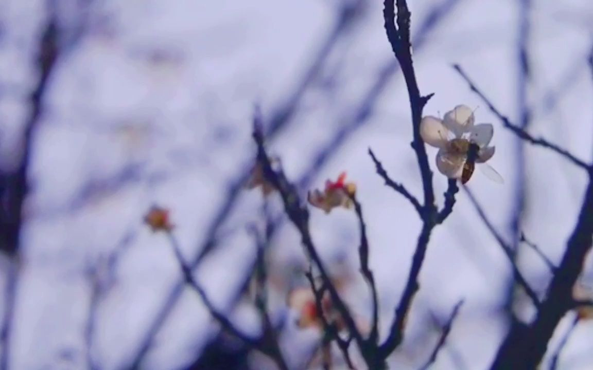 福建,泉南至美文艺纪录片,第一集:东石镇南天禅寺,预告.哔哩哔哩bilibili