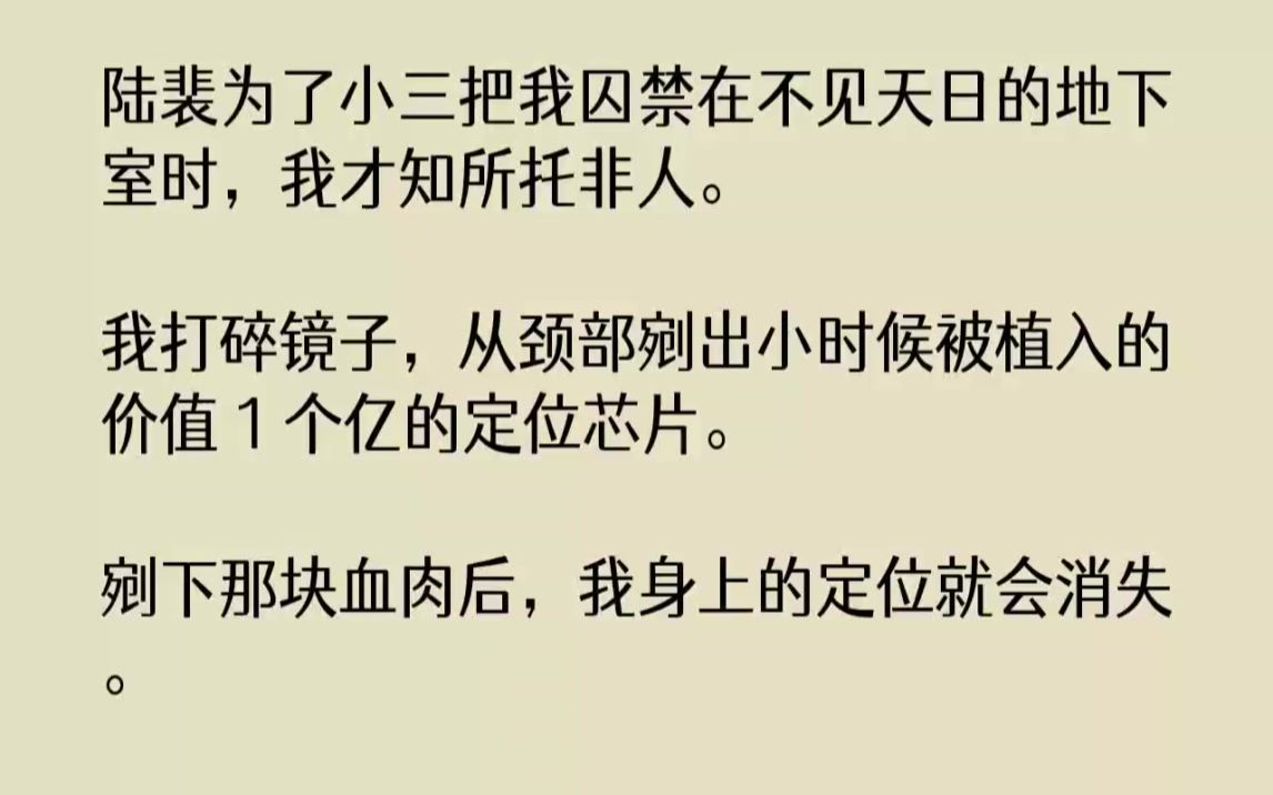 [图]【完结文】陆裴为了小三把我囚禁在不见天日的地下室时，我才知所托非人。我打碎镜子，...