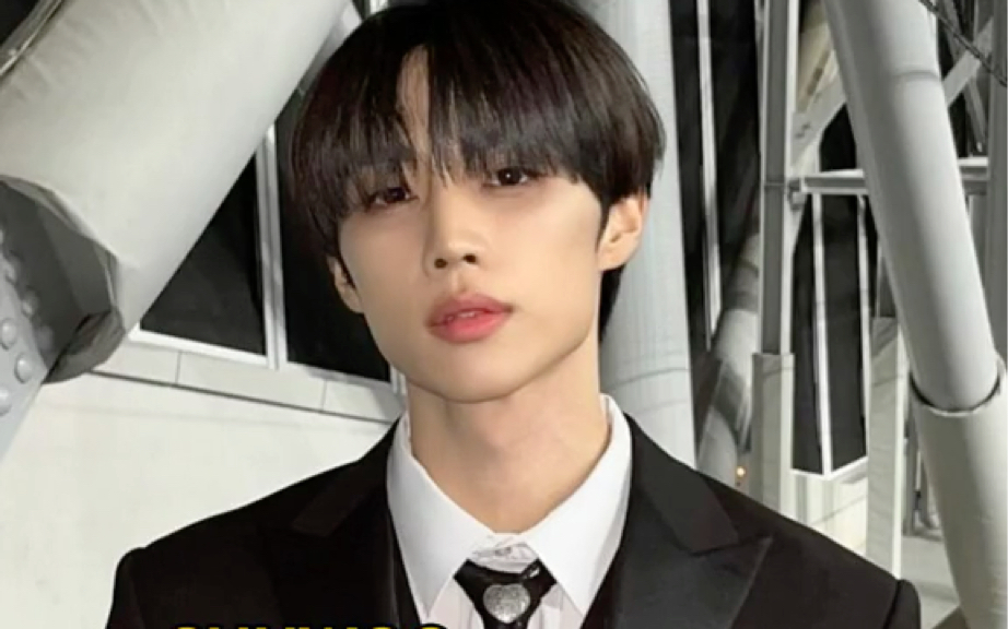 【金善旴】面对镜头的小浣熊会有一点慌张